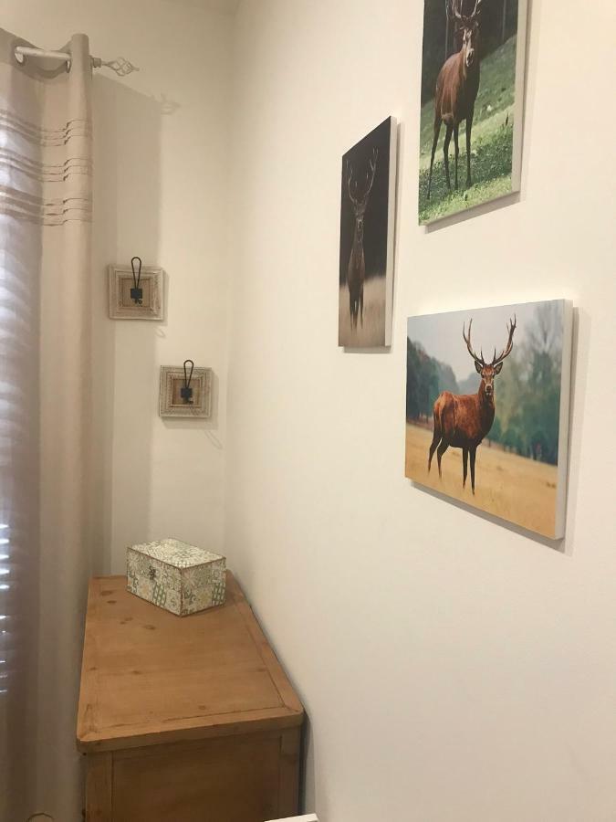 Apartament Neret II Sort Eksteriør billede